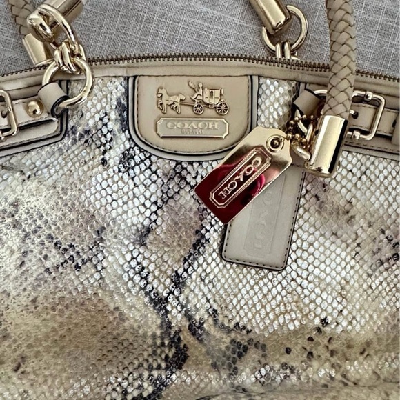 Limited Edition Coach Madison Lindsey python embossed handbag. Authentic - Picture 2 of 6
